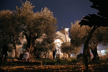 Pilgrims praying in the Garden of Gethsemane, Jerusalem, Israel - 733018244