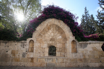 Gardens outside the church of St. Anne, 12th century Crusader Church, Bethesda, Jerusalem, Israel - 733019070