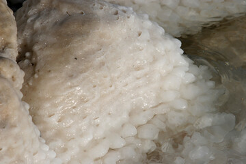 Crystallized salt rocks along the shores of the Dead Sea, Israel