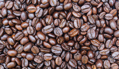 Roasted coffee beans close-up view 