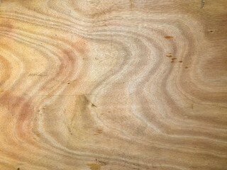 Birch plywood. High-detailed wood texture