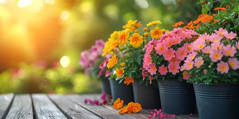 Poster Spring, summer. Colorful flower pots with flowers, watering can and gloves. A banner with a place for the text. © Свет Лана