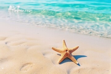 Fototapeta na wymiar Beautiful starfish on a sandy beach in clear sea water. Summer background