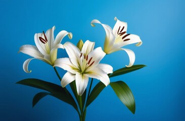 bouquet of white lilies