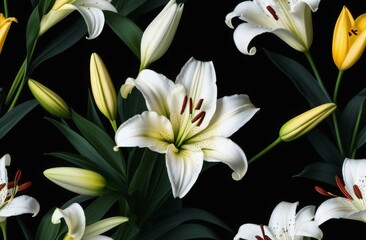white lilies on black background