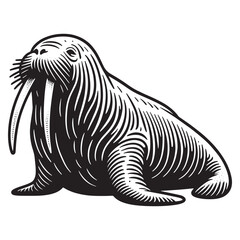 Walrus.  Vintage retro engraving illustration. Black icon, logo, label. isolated element. png	