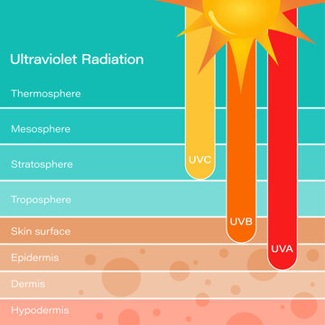 Ultraviolet UV radiation and the effect on human skin science vector illustration graphic