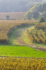 Autumn season in Franciacorta district area, Brescia province in Lombardy district, Italy, Europe.