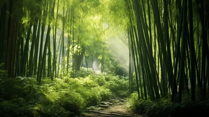 Zelfklevend Fotobehang A tranquil bamboo forest with dappled sunlight © Cloudyew