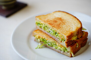 春キャベツのホットサンド