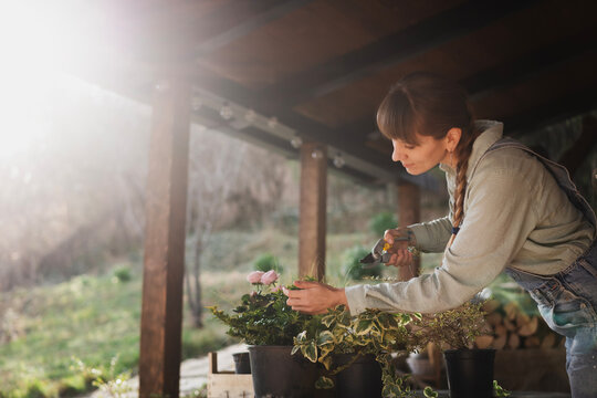 Young adult happy European woman on the terrace of cottage with pots of flowers and seedlings, spring gardening work