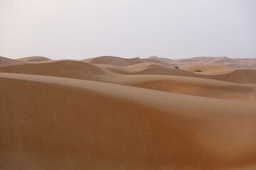 Wahiba Sands Desert in Oman
