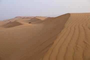 Fototapeta na wymiar Wahiba Sands Desert in Oman