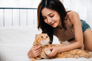 Obraz premium A woman looks on with love and happiness as she strokes her playful Scottish Fold cat on the bed in their room. Their connection is filled with warmth and care. Pat love