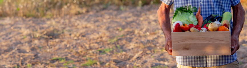a male farmer holds a box of vegetables.
