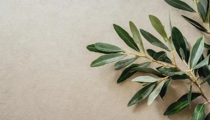Foto op Plexiglas minimalistic nature concept with copy space elegant olive tree leaves on neutral soft pastel beige wall copy space image place for adding text or design © Debbie