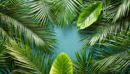 tropical palms leaves frame