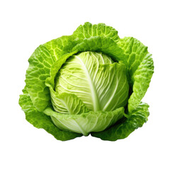 Obraz premium Green cabbage PNG , transparent background