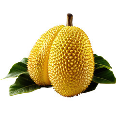 Jackfruit  PNG , transparent background