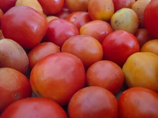 pile of tomatoes