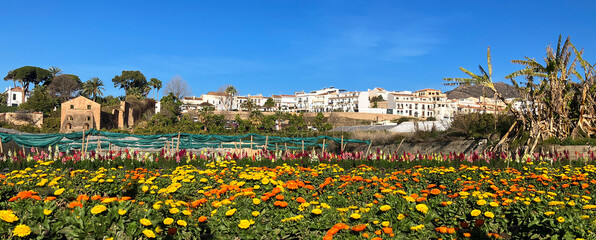 Obraz premium Beautiful panoramic view from local flower garden on the village of Maro in Andalucia, Spain.