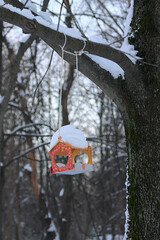 colorful bird feeder on a branch in a winter park