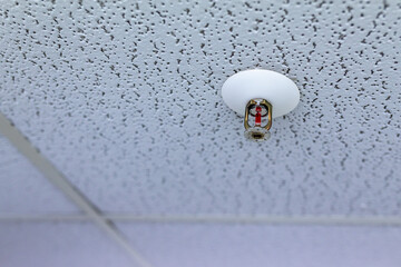 Ein Sprinkler der Sprinkleranlage mit roter Flüssigkeit an der Decke montiert.