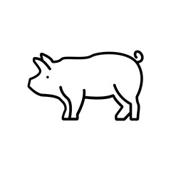 Pig icon. outline icon