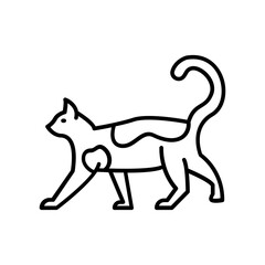 Cat icon. outline icon