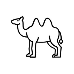 Camel icon. outline icon