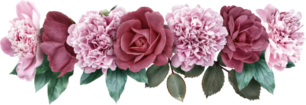 Pink peony and roses isolated on a transparent background. Png file.  Line floral arrangement, bouquet of garden flowers. Can be used for invitations, greeting, wedding card.