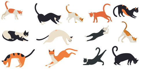 set of cats. cat in different positions. cat sclip art.