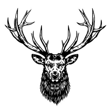 deer head vector illustration. deer head black n white, tattoo.