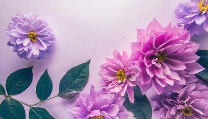 beautiful abstract color blue and purple flowers on white background and pink graphic pink flower frame and purple leaves texture purple background colorful graphics banner pink background