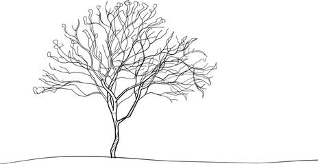 Abstract Tree Essence through Continuous Line Drawing - Abstract Tree Design, Continuous Line Art, Minimalist Tree Sketch, Modern Abstract Trees, One Line Drawing Nature