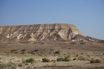 Judean Desert