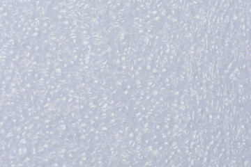 Close-up shot of White foam board. show texture Detail of plastic material. with Synthetic Suitable...