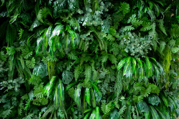 New wall decoration using artificial plants to make a wall of vertical plants. Gives a feeling of...