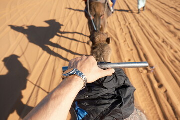 Paseo en camello.