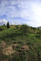 Obraz premium Slovakia landscape i nthe summer Zuberec