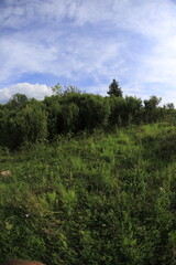 Slovakia landscape i nthe summer Zuberec