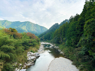 板取川の風景