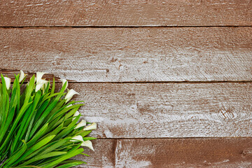 Calla lilies flowers isolated on wood table with copy space