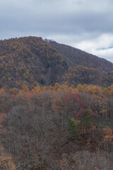 日本　福島県耶麻郡北塩原村、裏磐梯にある中津川渓谷の風景