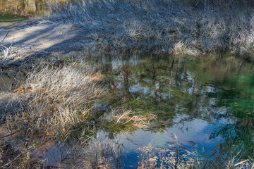 日本　福島県耶麻郡北塩原村、裏磐梯高原の五色沼湖沼群の青沼