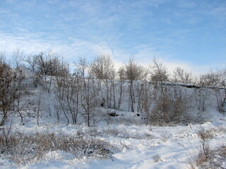 A landscape of a forest strip rising up the hillside covered with a warm blanket of freshly fallen snow against the background of a frosty blue sky on the horizon.