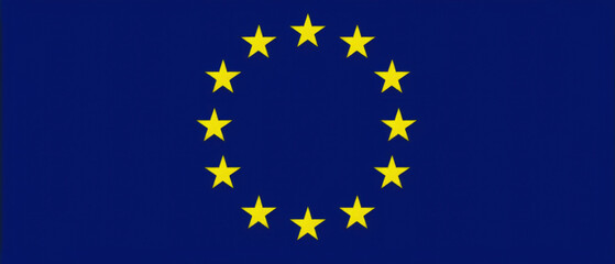 A flag with European Union symbol - 733111020