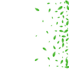 Light Green Foliage Background White Vector. Vegetation Banner Frame. Growth Design. Green Sprout Card. Leaf Vitality.
