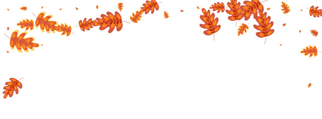 Orange Leaf Background White Vector. Plant Forest Illustration. Brown Leaves. Woods Set. Golden Oak Floral.
