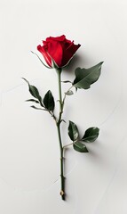 Elegant single red rose on a white background. minimalist design. ideal for romantic and special occasions. AI